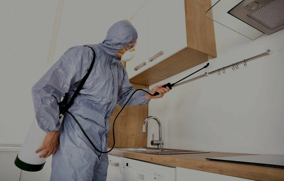 Pittsburg pest managment